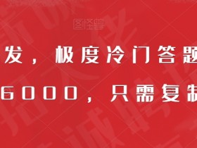 全网首发,极度冷门答题项目,一月6000,只需复制粘贴【揭秘】