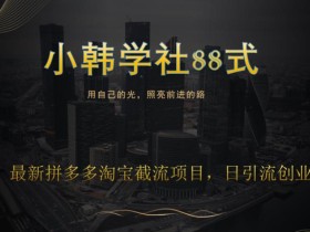 小韩学社88式第八式:最新拼多多淘宝截流骚操作,轻松日引流200+