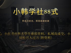 小韩学社88式第十七式:0成本项目,小红书出售大学生虚拟资料,私域高成交,小白也可以轻松月入过万{附资料}