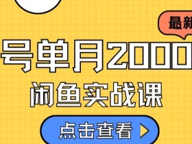 最新闲鱼日入500+,虚拟资料变现喂饭级讲解