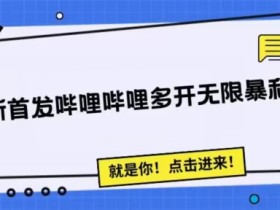 全新首发哔哩哔哩无限多开精准暴利引流,可无限多开,抗封首发精品脚本