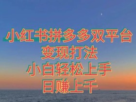 拼多多小红书双平台变现打法,小白轻松上手