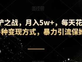 靠金铲铲之战,月入5w+,每天花一两个小时,多种变现方式,暴力引流保姆级教学