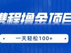 携程最新撸金项目,只需一部手机,单机日入100+【揭秘