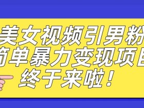 价值3980的男粉暴力引流变现项目,一部手机简单操作,新手小白轻松上手,每日收益500+【揭秘】