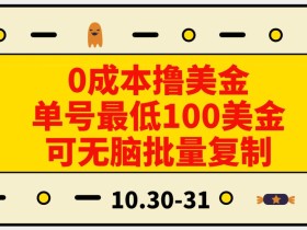 0成本撸美金,单号最低100美金,可无脑批量复制