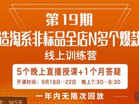 打造淘系非标全店N多个爆款线上课,5天直播课