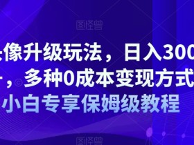 AI头像升级玩法,日入300-500+,多种0成本变现方式,小白专享保姆级教程【揭秘】