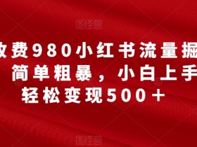 外面收费980小红书流量掘金合伙人,简单粗暴,小白上手也能轻松变现500+【揭秘】