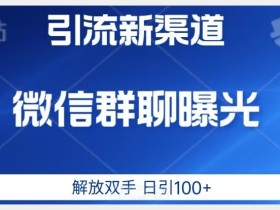 价值2980的全新微信引流技术,只有你想不到,没有做不到【揭秘】