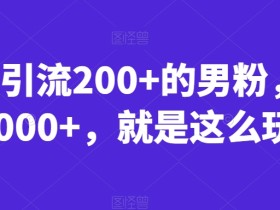 一天引流200+的男粉,日赚1000+,就是这么玩的【揭秘】