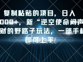 复制粘贴的项目,日入4000+,新“逆空使命“闷声发财的野路子玩法,一部手机即可上手