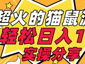 【首发实操教程】轻松日入1K的猫鼠游戏【软件+项目素材】【揭秘】