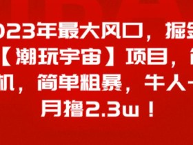 2023年最大风口,掘金项目【潮玩宇宙】,简单挂机,简单粗暴,牛人一个月撸2.3w!