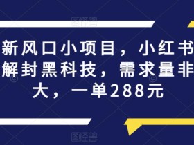 最新风口小项目,小红书账号解封黑科技,需求量非常大,一单288元