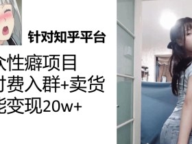 一个月入袋3w,知乎小众性癖项目,Lsp的钱才是最好赚的【揭秘】