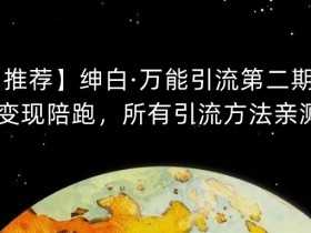 【推荐】绅白·万能引流第二期,引流变现陪跑,所有引流方法亲测有效