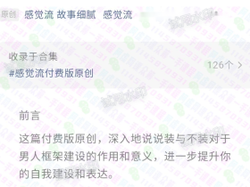 感觉流付费版文章原创故事细腻,感觉流