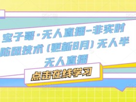 宝子哥·无人直播-非实时防风技术(更新25年6月)无人半无人直播