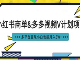 小红书商单最新升级玩法结合多多视频v计划多平台变现