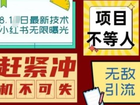 最新小红书最新引流技术无限曝光,亲测单账号日引精准粉100+无压力(脚本+教程)
