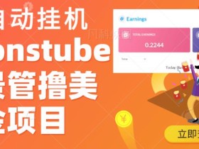 外面收费几千上万的visionstube愿景管撸美金项目,单日收益30-50美金+工作室可批量多开搞