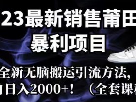 2023最新销售莆田鞋暴利项目,搭配全新无脑搬运引流方法,新手小白日入2000+【揭秘】