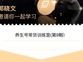 郭晓文·养生号带货训练营7.0(第九期),收益更稳定的玩法,让你带货收益爆炸!