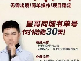 星哥同城教育书单号课程,无需出境简单操作项目稳定