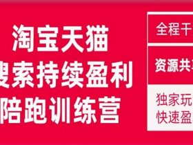 2023未见【無山】淘宝天猫搜索持续盈利陪跑训练营,独家玩法,快速盈利