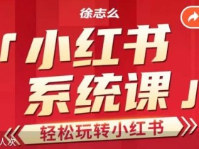 徐志么小红书运营课,轻松玩转小红书