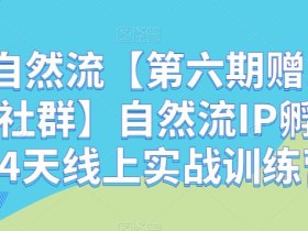 瑶瑶自然流【第六期赠1年孵化手社群】自然流IP孵化手「14天线上实战训练营」