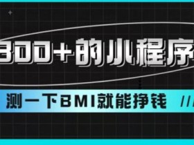 日入300+的小程序项目,测一下BMI就能挣钱【揭秘】