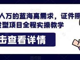 轻松月人万的蓝海高需求,证件照发型项目全程实操教学【揭秘】