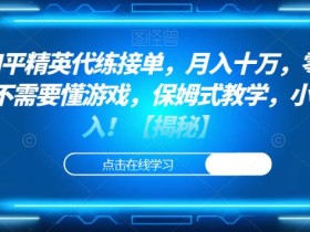 靠和平精英代练接单,月入十万,零门槛,不需要懂游戏,保姆式教学,小白必入!【揭秘】