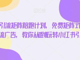 小红书精准引流矩阵陪跑计划,免费矩阵式引流,付费投流广告,教你从0到1玩转小红书引流