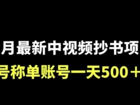 外面收费1980的中视频抄书项目,号称单日500+,小白福音(附工具+教程)