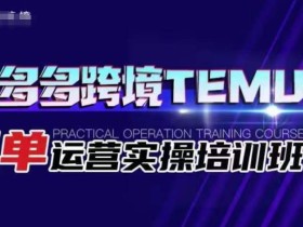 拼多多跨境TEMU爆单运营实操培训班,海外拼多多的选品、运营、爆单