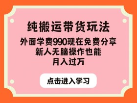 纯搬运带货玩法,外面学费990现在免费分享,新人无脑操作也能月入过万【揭秘】