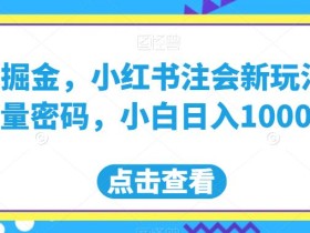 流量掘金,小红书注会新玩法,流量密码,小白日入1000+【揭秘】