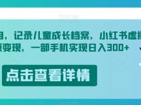 冷门项目,记录儿童成长档案,小红书虚拟资源变现,一部手机实现日入300+【揭秘】