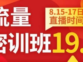 秋秋线上流量密训班19.0,打通流量关卡,线上也能实战流量破局