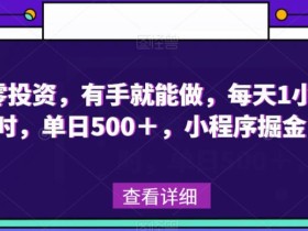 零投资,有手就能做,每天1小时,单日500+,小程序掘金