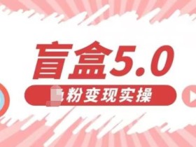 盲盒交友5.0,男粉变现实操项目,亲测变现效果极好【揭秘】