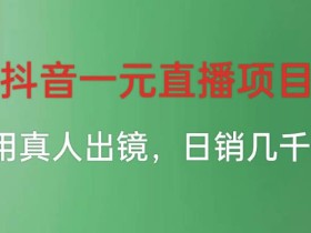 抖音一元直播项目,不用真人出镜,日销几千块钱