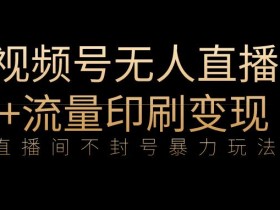 全网首发视频号不封号无人直播暴利玩法+流量印刷机变现,日入1000+【揭秘】