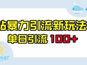 B站暴力引流新玩法,单日引流100+【揭秘】