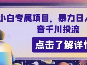小白专属项目,暴力日入过千抖音千川投流