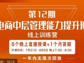 陈少珊·电商中层管理能力提升班,学习对象-电商公司各个岗位的主管,20人人以内的电商公司老板