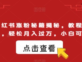 小红书涨粉秘籍揭秘,教程简单,轻松月入过万,小白可做